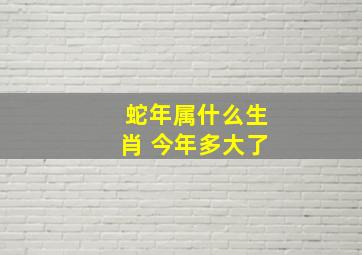 蛇年属什么生肖 今年多大了